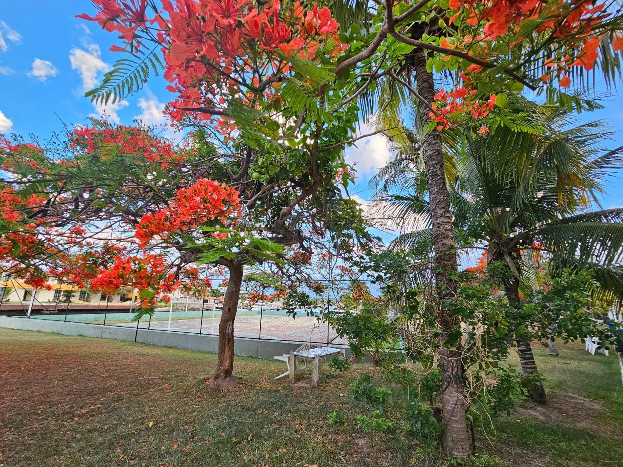 Condominio Cabo Frio Dış mekan fotoğraf